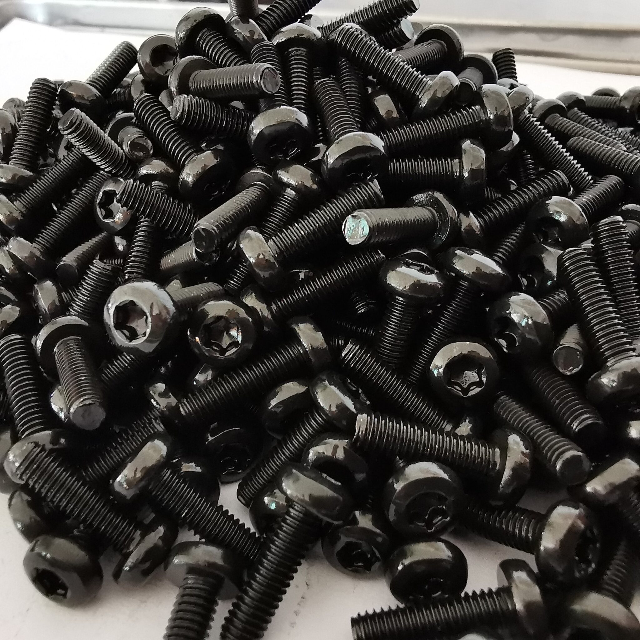 Black Oxide Stainless Bolts